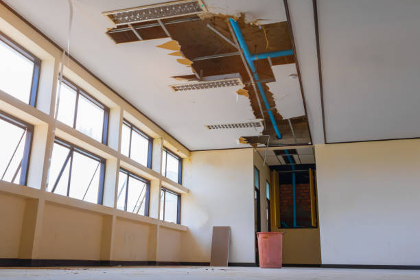 Best Basement water damage restoration  in Combee Settlement, FL