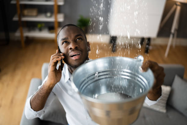Best Flood restoration services  in Combee Settlement, FL