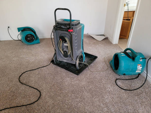 Water damage restoration mold remediation in Combee Settlement, FL