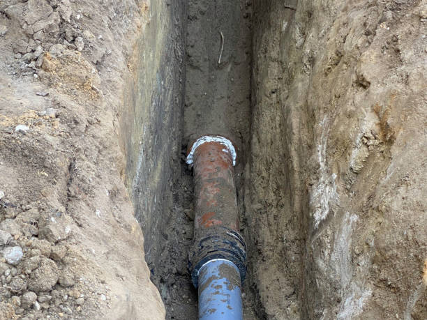 Professional Water damage restoration in Combee Settlement, FL
