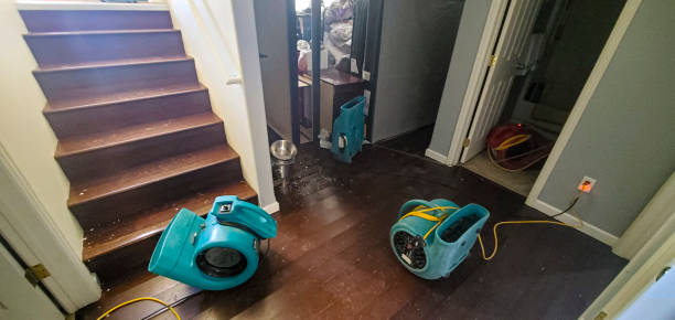 Fire Damage Restoration in Combee Settlement, FL