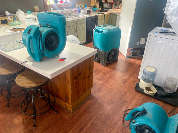 Best Residential water damage restoration  in Combee Settlement, FL