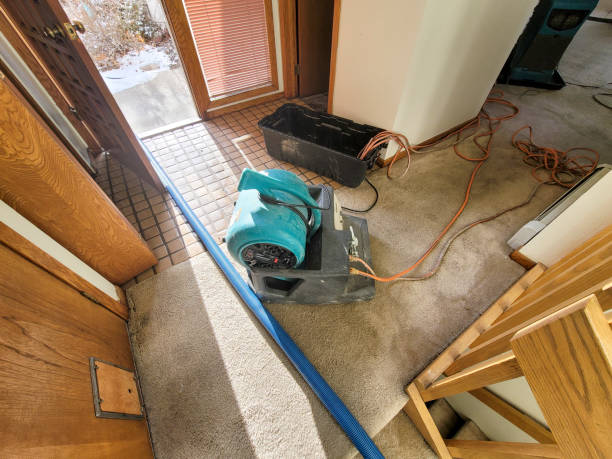 Best Water damage restoration near me  in Combee Settlement, FL