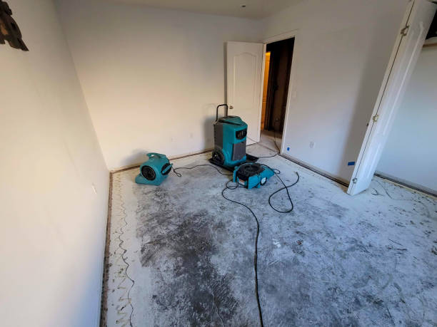 Best Emergency water damage restoration  in Combee Settlement, FL