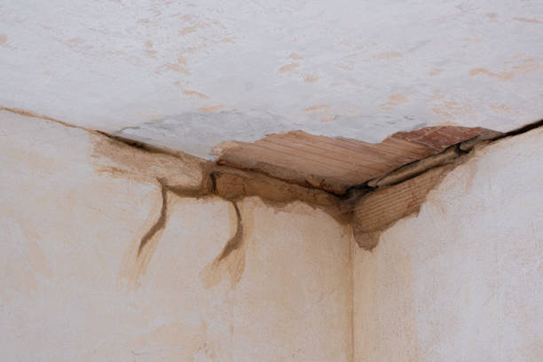 Best 24/7 water damage repair  in Combee Settlement, FL