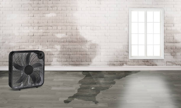 Best Sewage cleanup and water damage restoration  in Combee Settlement, FL