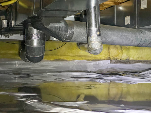 Best Fire Damage Restoration  in Combee Settlement, FL