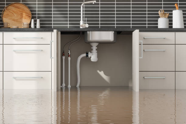 Best Commercial water damage restoration  in Combee Settlement, FL