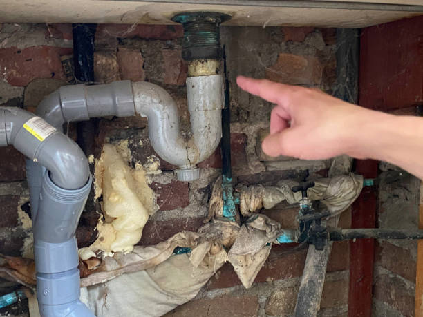 Best Professional water damage repair  in Combee Settlement, FL
