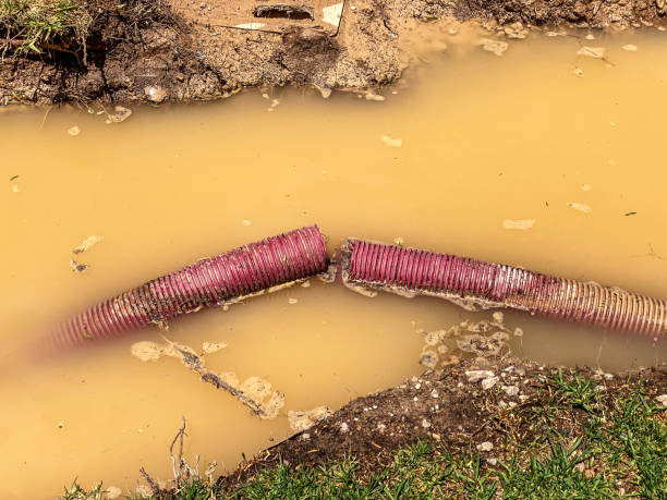Best 24-hour water damage restoration  in Combee Settlement, FL