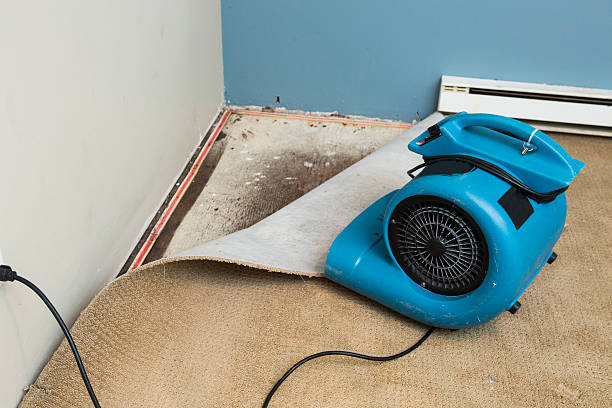 Best Water damage restoration services  in Combee Settlement, FL